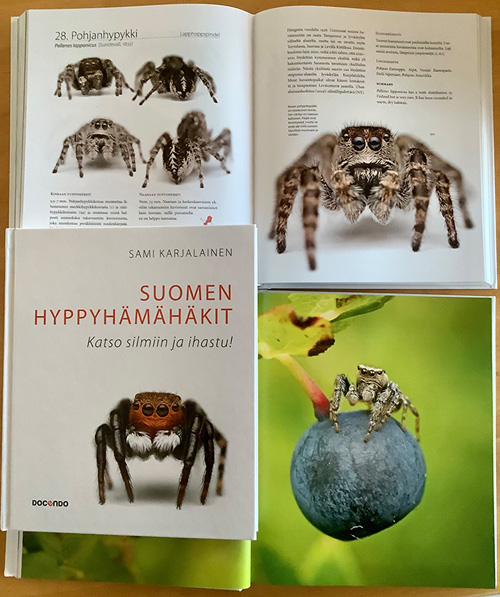 Suomen hyppyh&auml;m&auml;h&auml;kit